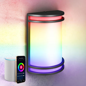 10 Inch Smart RGBW LED Outdoor & Indoor Wall Mount Light Fixture - Black RGB Wall Sconce Exterior Lighting - 120-277V 15W 2700-6500K Dimmable, Remote Control, Alexa - Front Door, Patio ETL